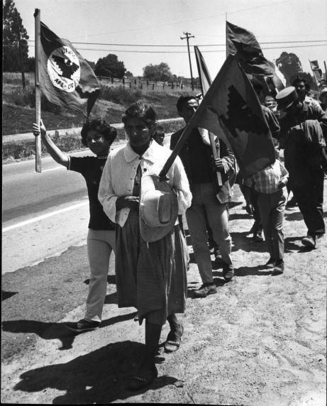 (3190) Protesters march for the United Farm Workers (UFW) (3190) Protesters march for the United Farm Workers (UFW)